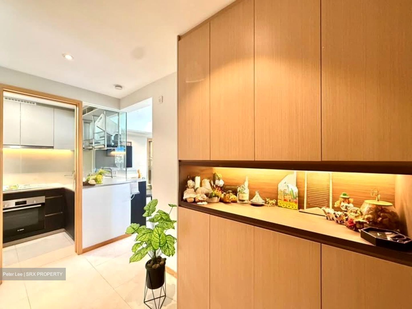 The Antares (D14), Apartment #533069841